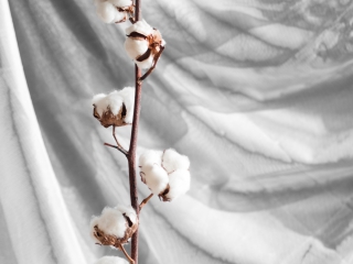 CÔNG TY TNHH TM DV HỒNG THĂNG